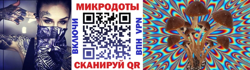 дарнет шоп  darknet какой сайт  Псилоцибиновые грибы мицелий  Краснообск 
